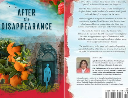 Book Review – After the Disappearance…