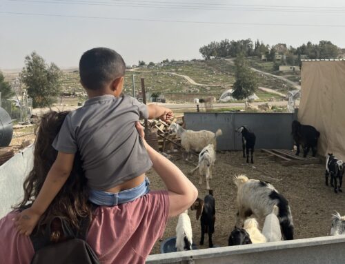 INSIGHTS: Reflections on Occupation